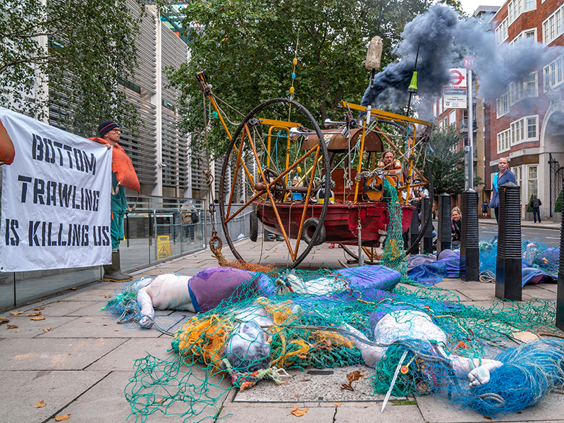 bottom trawling is killing us mermaids