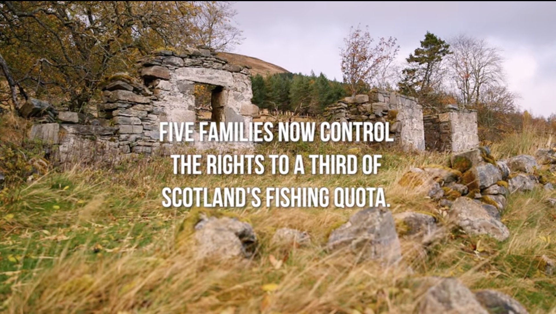 five families control the rights to one third of scotlands fishing quota