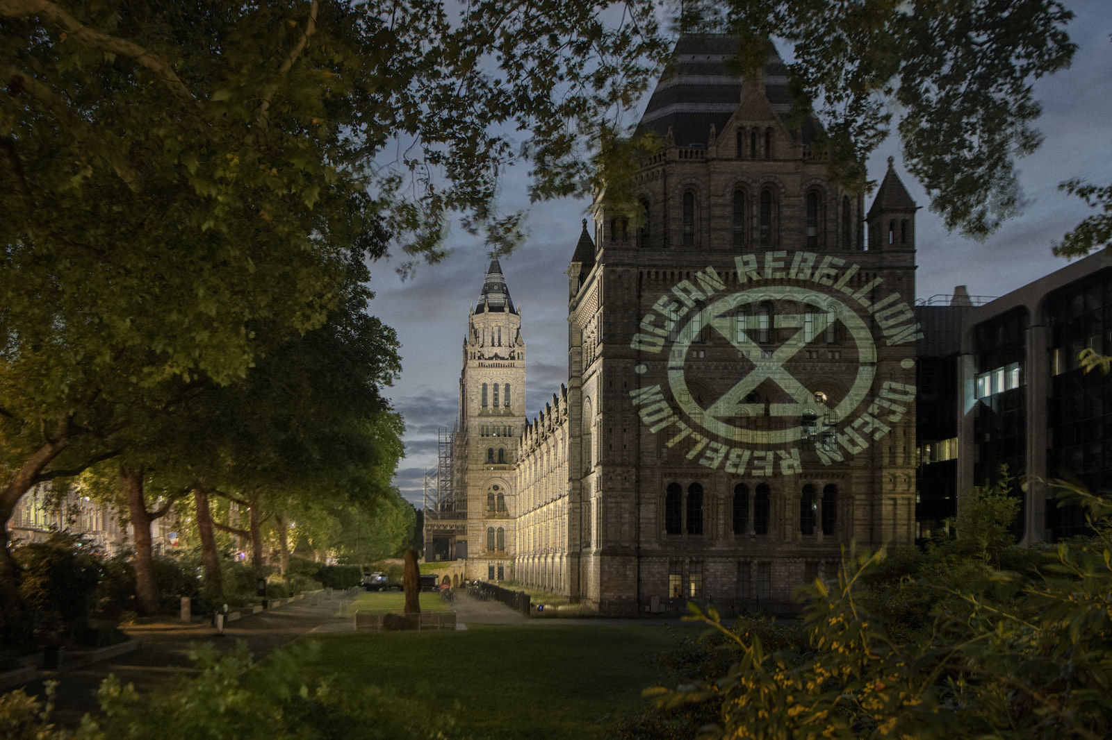 natural history museum projections